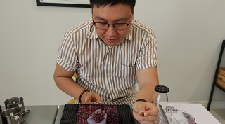 017-7252